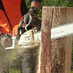 man using a chainsaw to cut logs (image: Petra Blume / Pixabay)